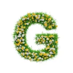 Green Shym Доставка в Шымкенте icon