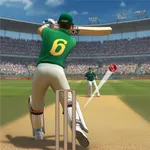 Cricket Match Multiplayer Game icon