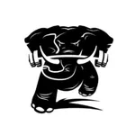 CrossFit Tuscaloosa icon