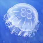 JellyfishLifeSimulation icon
