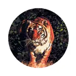 Sussex County Schools, VA icon