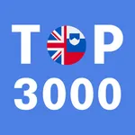 Most Common Slovenian Words icon