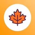 메이플DB - 캐릭터 정보 조회 icon