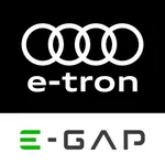 E-GAP for e-tron icon