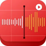 Voice Notebook & Record Life icon