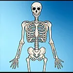 DVA MRCA Calculator icon