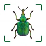 BUND Insekten Kosmos icon
