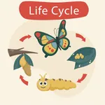 Learn life cycle for toddler icon
