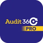 Audit360° Pro icon