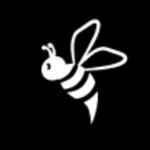 Club Sinergético icon