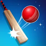 Flick Cricket hit six ball fun icon