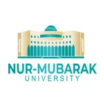 Nur-Mubarak AI icon