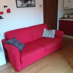 Marcella Casamia icon