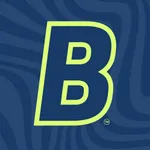 Birdi - Disc Golf Practice icon