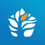 NTD Ingredientes icon