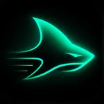 VPN-飞鲨VPN全球冲浪网络加速器 icon