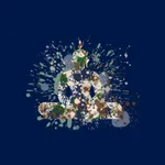 MindfulYou Meditations icon