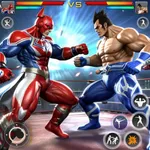 Superhero Fighting Game icon