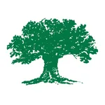 Palm Beach Polo Club icon