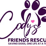 Codys Friends Rescue icon