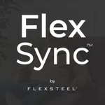 FlexSync icon