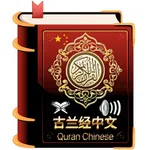 Chinese Quran Audio Book + icon