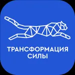 Трансформация силы 2024 icon
