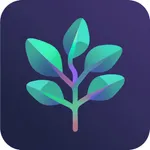 SpendWise - Mindful Spending icon