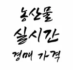 농산물 실시간 경매 가격 icon