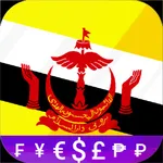 Fast Bruneian Dollar converter icon