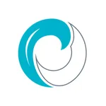 Cabbie.today Driver icon