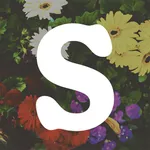 SwellSpa icon