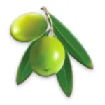 Torah Unit Converter icon