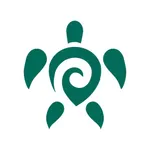 Plain: stove remote control icon