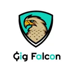 Gig Falcon icon