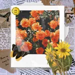 图图壁纸精选 icon