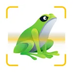 Frog Identifier Frog Sound ID icon