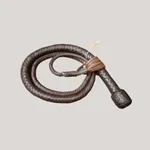 Whip Whip icon