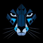 Cheetah Charge icon