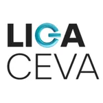 Liga Ceva icon
