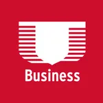 German American Business icon