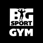 BigSportGym icon