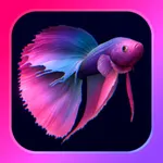 Bettarium - Betta Fish Tank icon