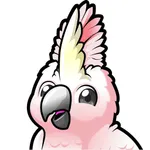 Cockatoo: AI Note Taker icon