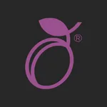 Leybova Delivery icon