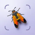 Bug ID - Insect Identifier icon
