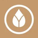 Sleep Beauty - Sleep & Healing icon