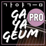 Gayageum_12Str Pro icon