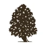 Silva Splendid Card – Fiuggi icon