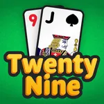 Twenty Nine ‣ icon